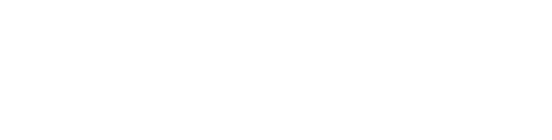 LOGO imsk veins white